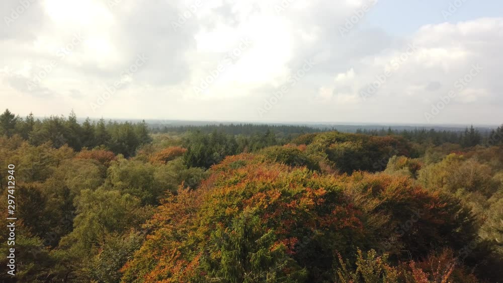 View above the Autumn forest at the Kaapsen Bossen in Doorn, the Netherlands View above the Autumn forest at the Kaapsen Bossen in Doorn, the Netherlands