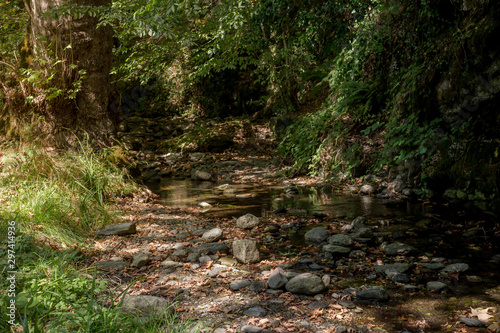 Small mountain river in the forest on a sunny day (Greece, Pieria, Mount Olympus).