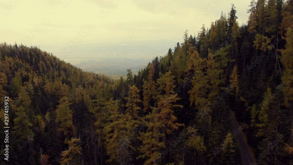 Aero forest view on the mountainside. Autumn forest in the mountains. Bird's-eye view. Sky with clouds. Aero forest view on the mountainside. Autumn forest in the mountains. Bird's-eye view. Sky with clouds.