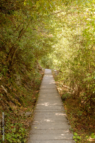 Narrow hiking trail in the mountains (Pieria, Greece, Mount Olympus)