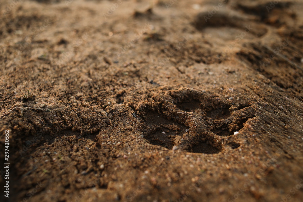 View from above at footprint on a sandy surface View from above at footprint on a sandy surface