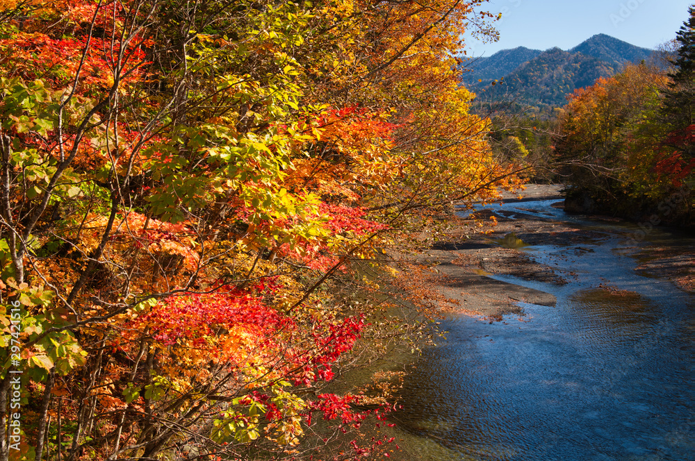 水辺の紅葉