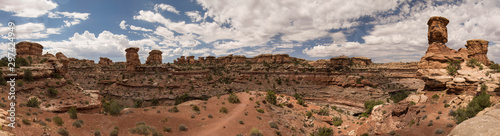 Canyonlands Needles District Panoramic