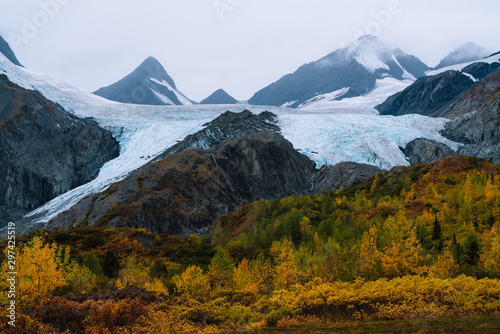 Huge Glacier above yellow and green treesin forest in autumn colors in Alaska photo