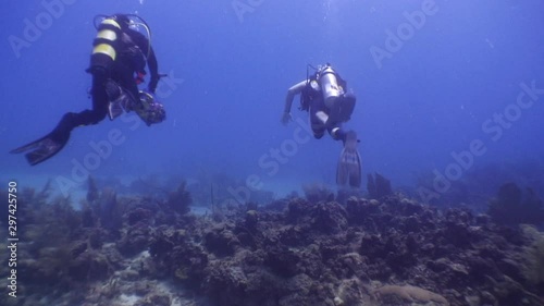 Wallpaper Mural Two divers from behind, swimming with tubes and camera equipment, wide shot Torontodigital.ca