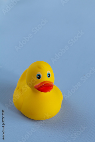 Yellow rubber duck isolated on blue background, space for text
