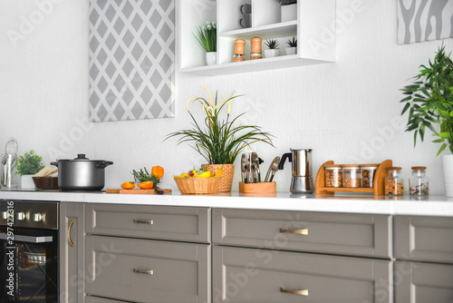 Modern interior of kitchen with green houseplants © Pixel-Shot
