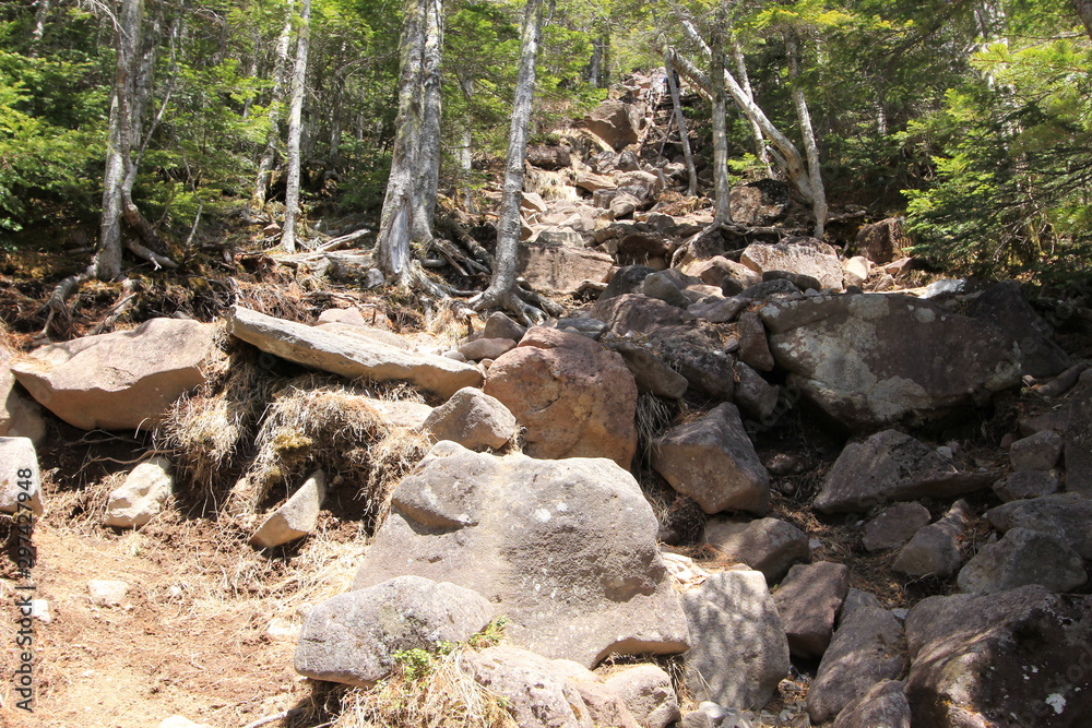 Obraz premium 八ヶ岳