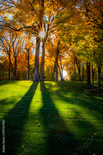 Fall in a Park