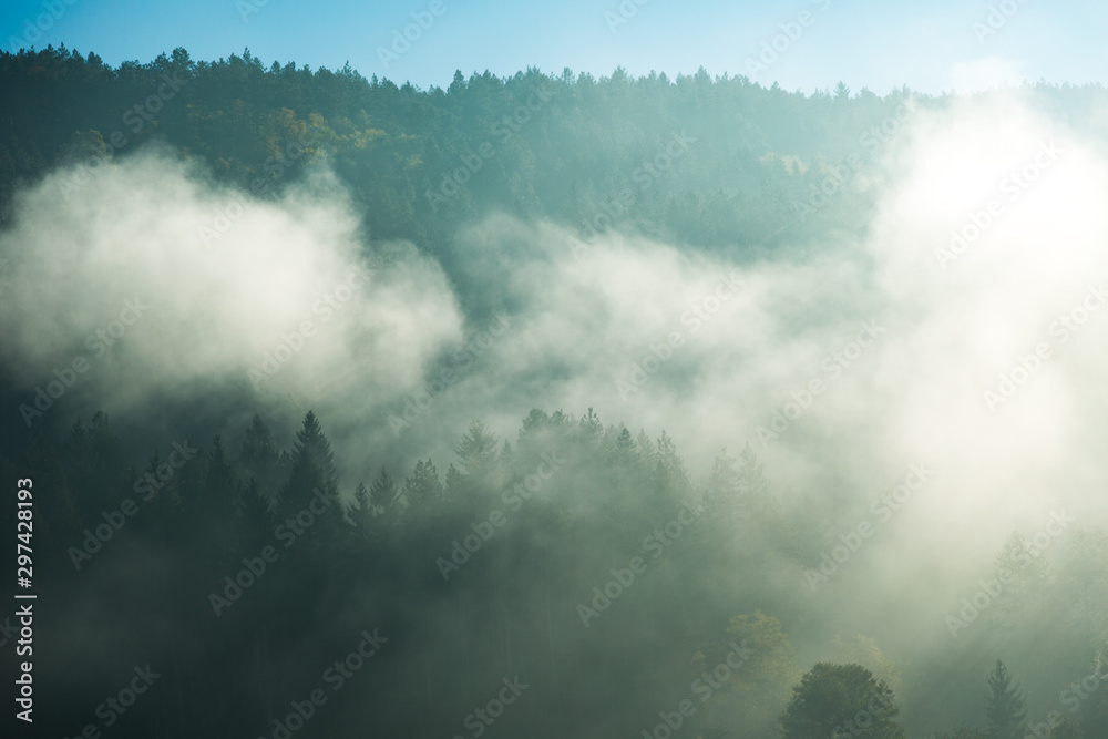 Foggy silhouette forest and sunrise with sunbeam