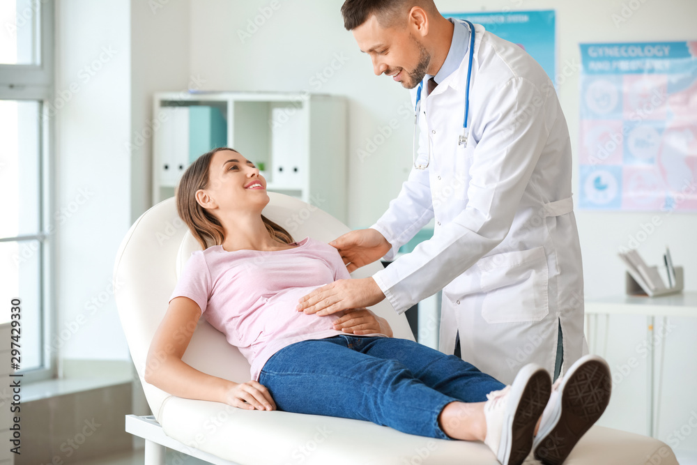 Fototapeta premium Male gynecologist working with pregnant woman in clinic