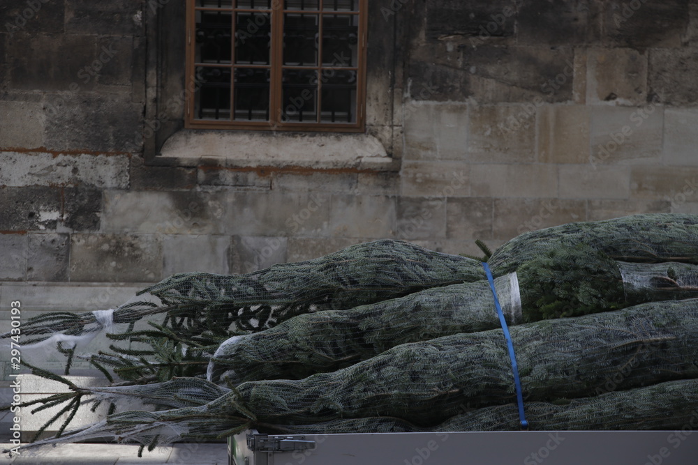 Christmas trees on sale in the street