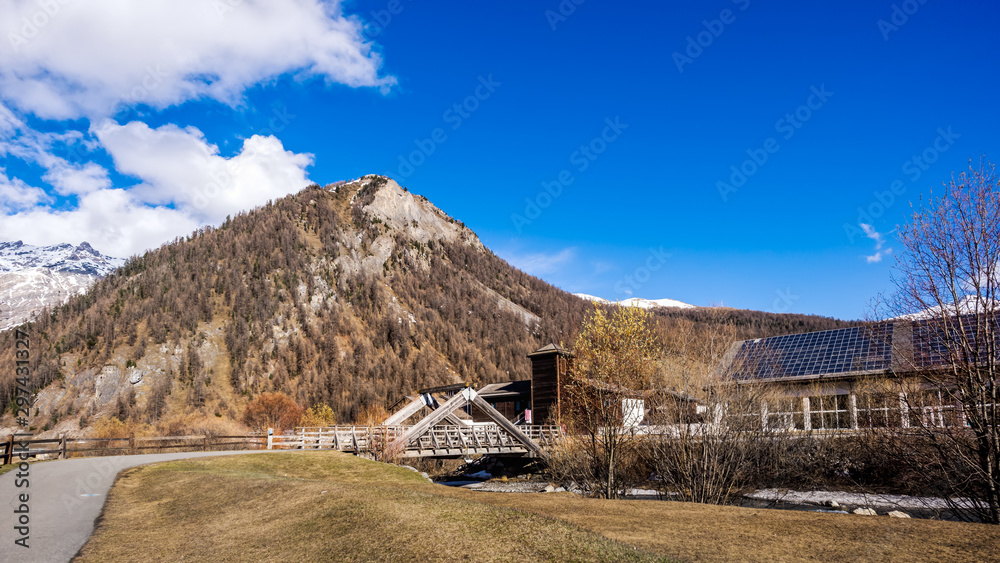 Mountain valley with stream and wooden bridge, Livingo, Italy, Alps