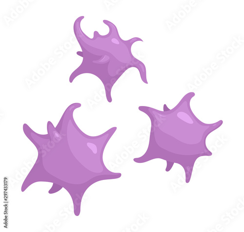 Set of Platelet cells. Thrombocytes. Vector illustration isolated on white background photo