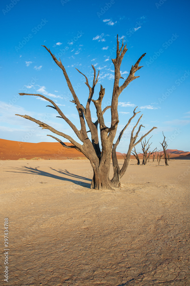 Dead Tree and puffy clouds in Hidden Vlei Sand dunes Sossusvlei Namibia Dead Tree and puffy clouds in Hidden Vlei Sand dunes Sossusvlei Namibia