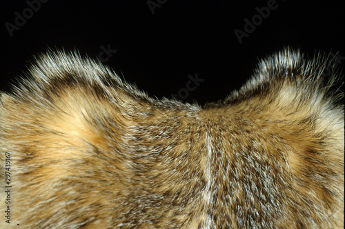badger skin