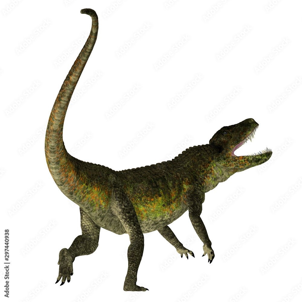 Postosuchus Reptile Tail - Postosuchus was an carnivorous aquatic reptile that inhabited the swamps and rivers of North America during the Triassic Period. Postosuchus Reptile Tail - Postosuchus was an carnivorous aquatic reptile that inhabited the swamps and rivers of North America during the Triassic Period.