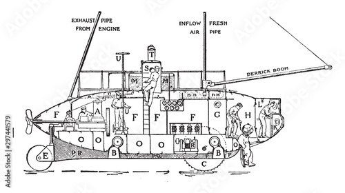 Side view of Argonaut, vintage illustration.