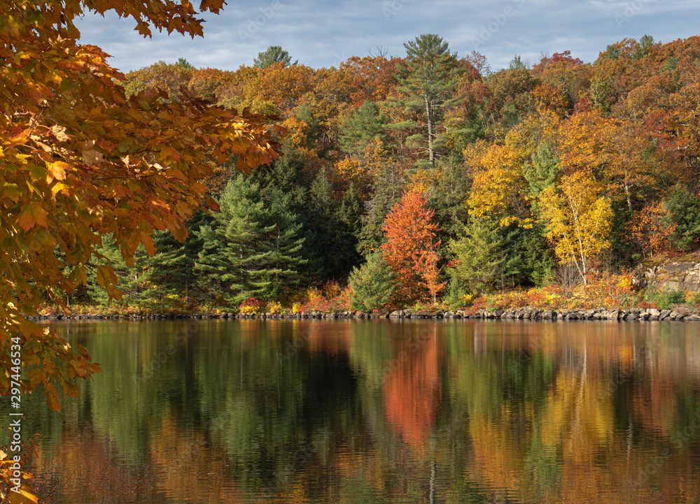 Obraz premium Autumn at the lake
