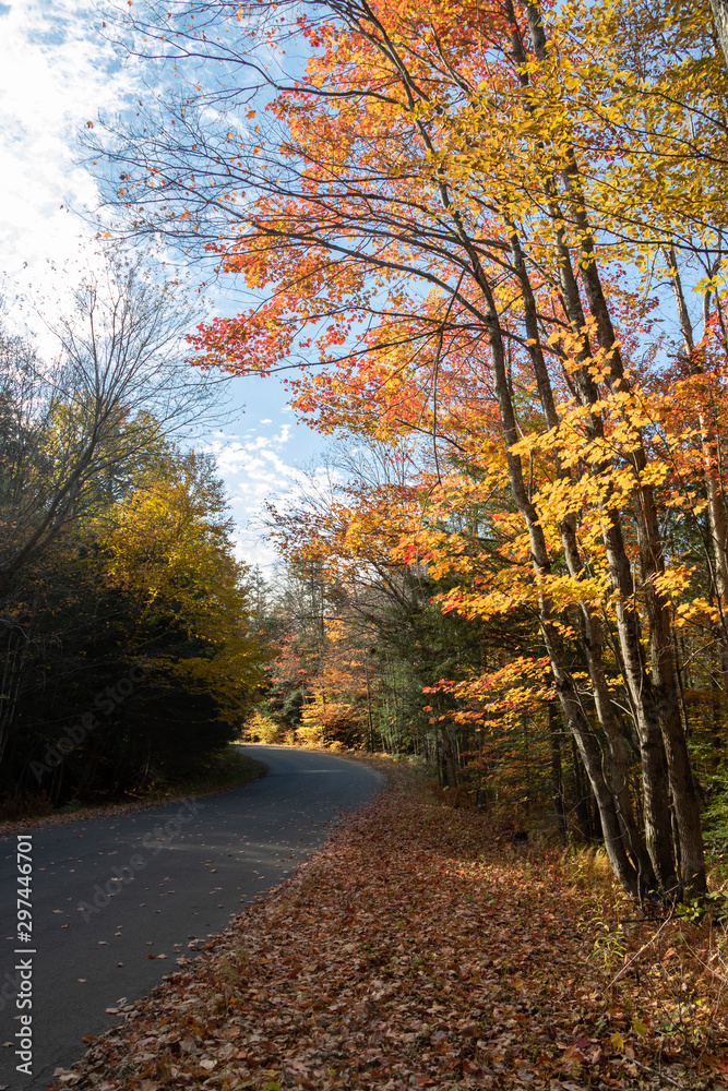Autumn colours on the country roads in Muskoka
