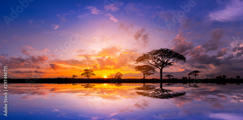 Panoramy sylwetki drzewo, góra z zmierzchem i. Drzewo sylwetkowy przeciw położenia słońca odbiciu na wodzie. Typowy afrykański zmierzch z akacjowymi drzewami w Masai Mara, Kenja.