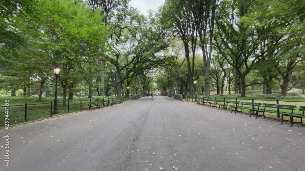 A personal perspective walking on The Mall in Manhattan's Central Park on an overcast Autumn day.  	