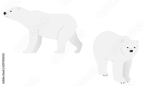 Polar bear illustration set viewed from two different angles