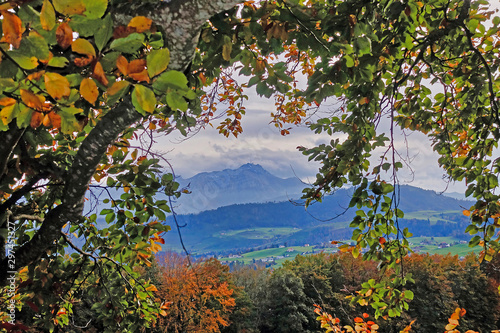 Mount Säntis through some autumn foliage