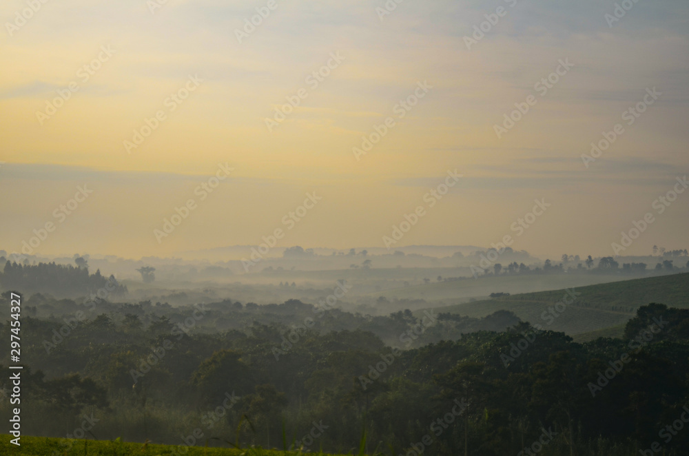 Fog covers the green hills of a tea plantation at dawn, in Kibale, Uganda, Africa