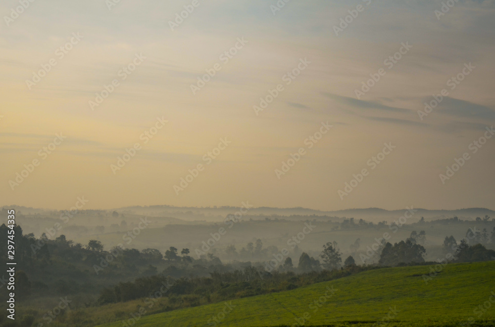 Sunrise over foggy Ugandan tea fields in Kibale, Uganda in Africa Sunrise over foggy Ugandan tea fields in Kibale, Uganda in Africa