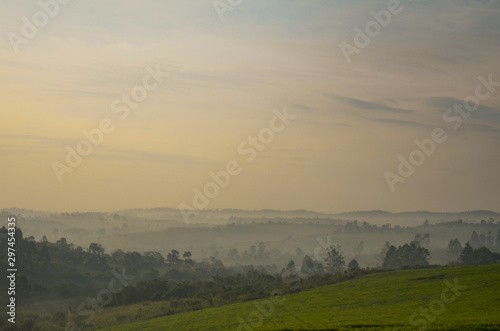 Sunrise over foggy Ugandan tea fields in Kibale, Uganda in Africa