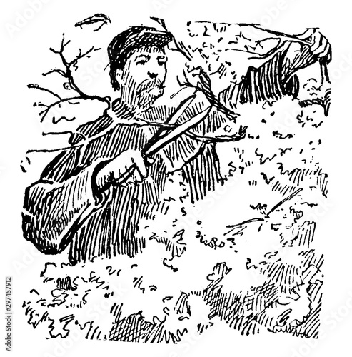 Pruning, vintage illustration