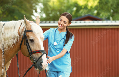 Young veterinarian with palomino horse outdoors on sunny day