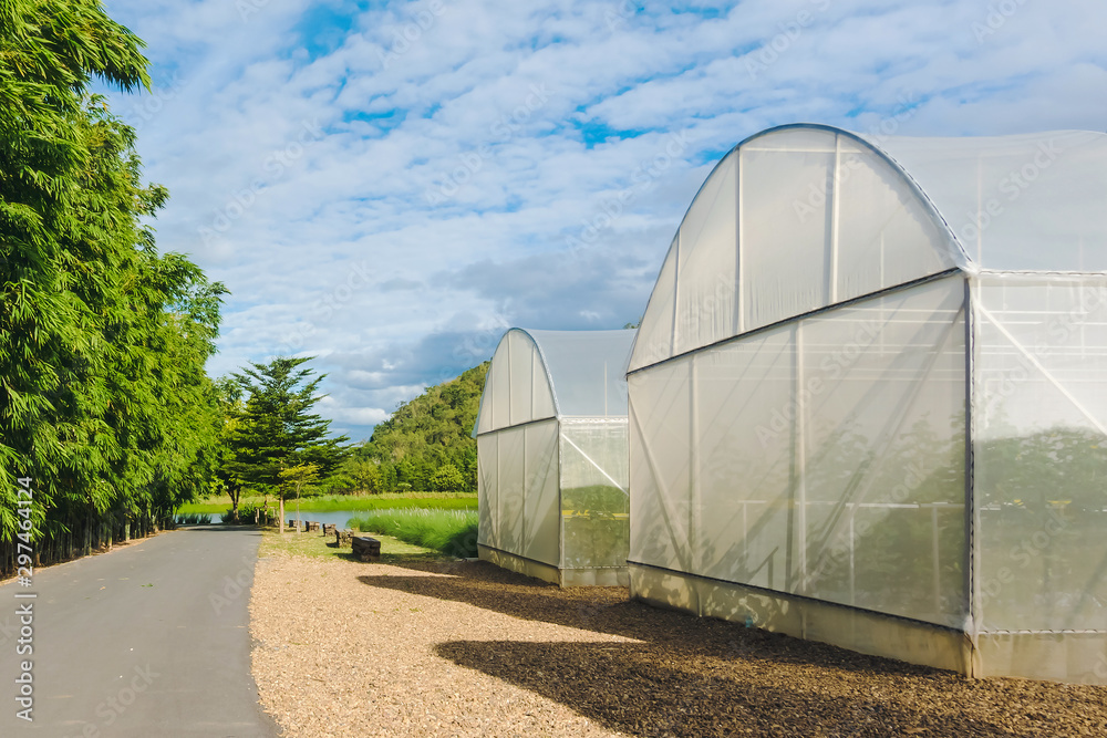 Domed Greenhouse or tunnel for young plants growing nursery house in a farm.