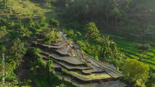 Aerial shot of the marvelous rice teraces in mountains during sunset photo