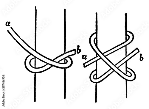 Clove Hitch, vintage illustration.
