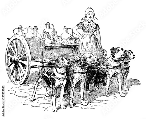 Dogs Pulling Wagon, vintage illustration.