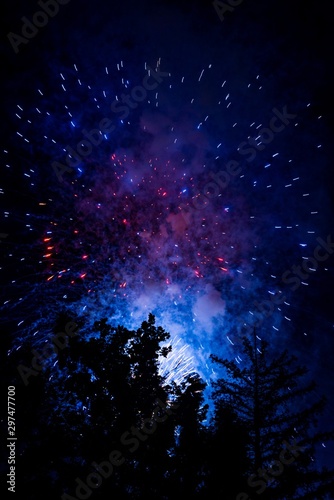 Fireworks in the sky