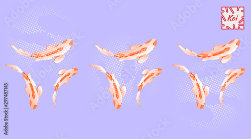 Horizontal banner in oriental style, set with koi fish with coral spots on light background. Vector illustration, Cyprinus Carpio.