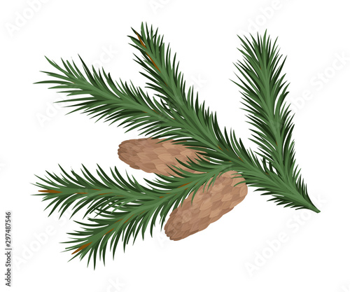 Dense branch of larch with closed cones. Vector illustration.