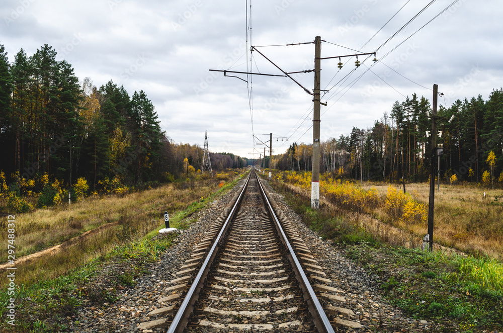 Railway track in the fall. Railroad surrounded by autumn forest.