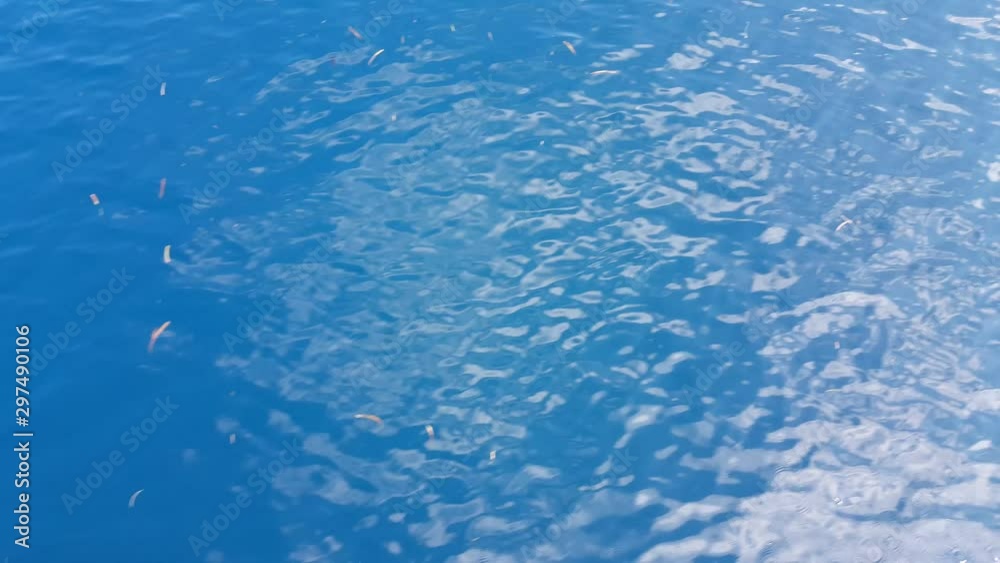 birds eye point of view of tropical scenery, open water with sun reflection birds eye point of view of tropical scenery, open water with sun reflection