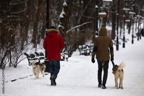 two friends walking by snowed city park with husky dogs
