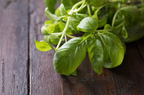 green Basil on a dark wood background