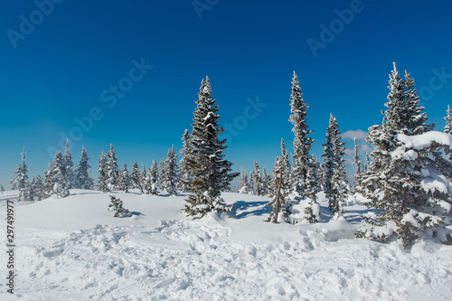 Beautiful winter landscape. Snow covered forest and mountain. © Smile