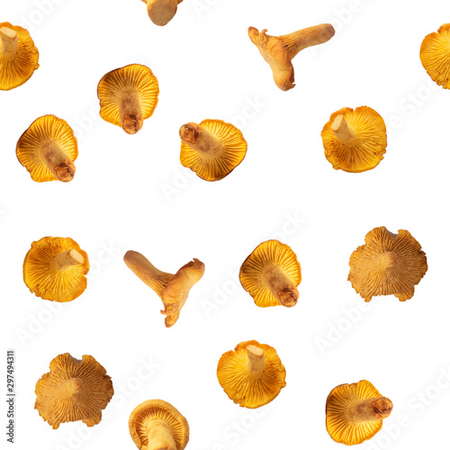 Chanterelle mushrooms seamless pattern. A set of eatable mushrooms texture background tile
