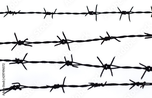 Sharp barbed wire against a white background