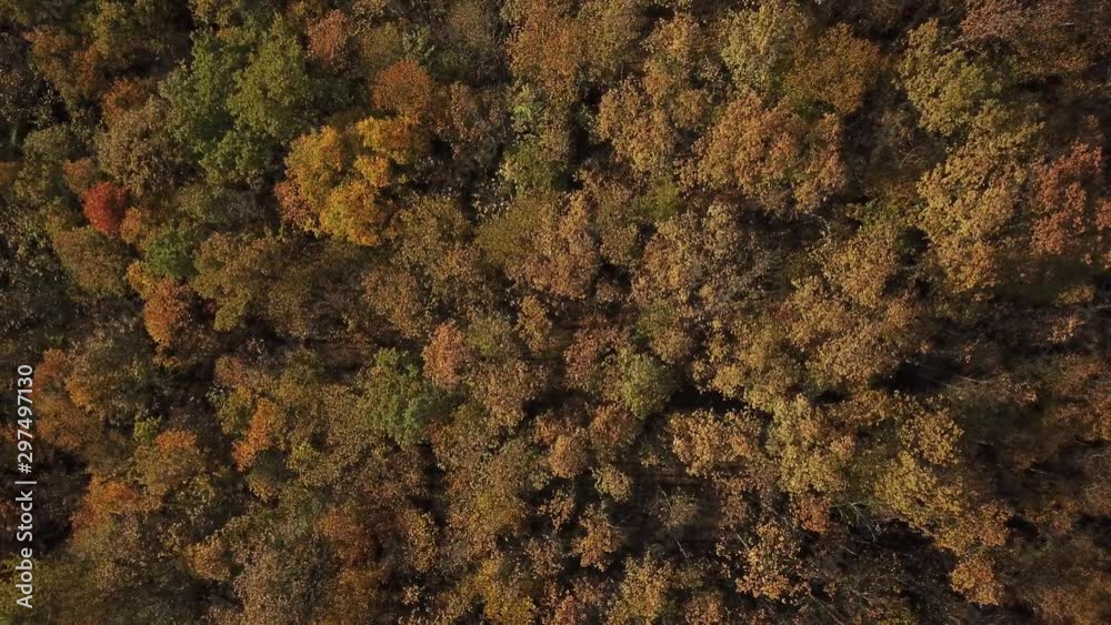 Aerial top view of autumn trees in forest background, Caucasus, Russia. Coniferous and deciduous trees. Aerial top view of autumn trees in forest background, Caucasus, Russia. Coniferous and deciduous trees.