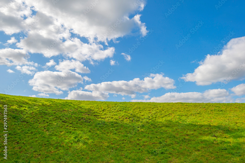 Fototapeta premium Green meadow below a blue cloudy sky sky in sunlight in autumn