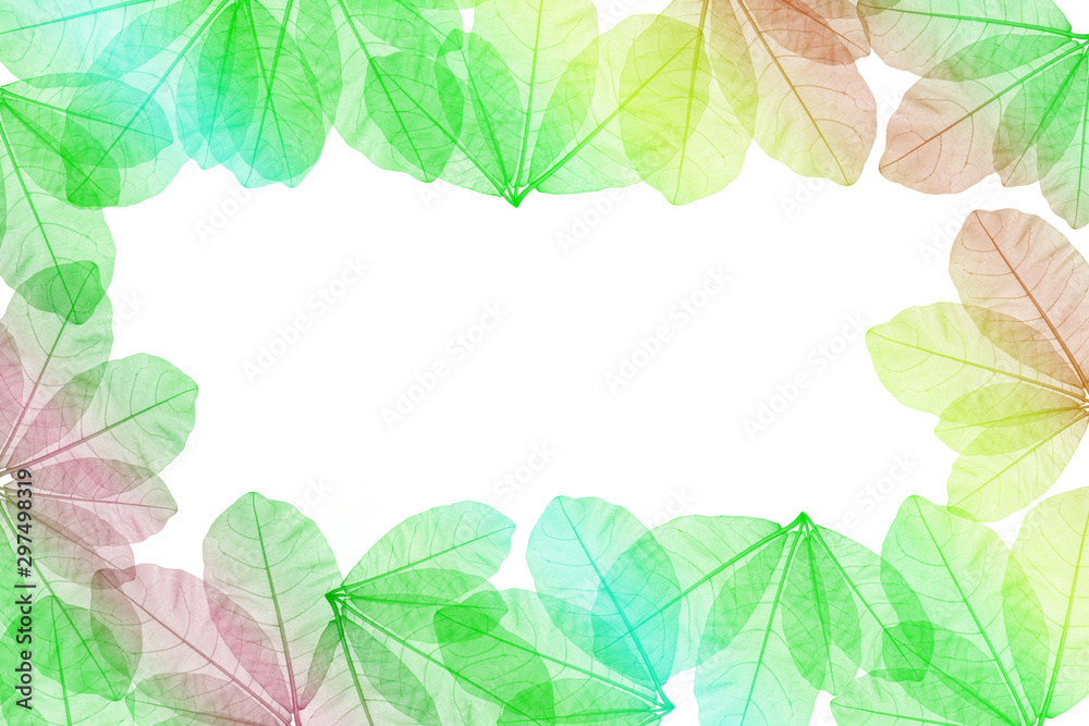 colorful leaves pattern,gradient color autumn leaf isolated on white background